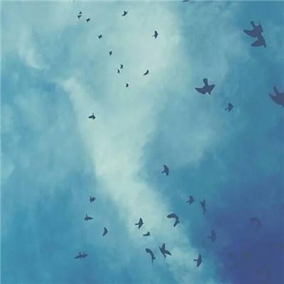 嘣战纪公测服下载