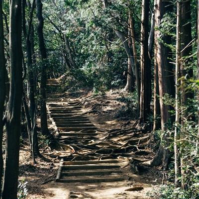 全金属怪物破解版九游下载